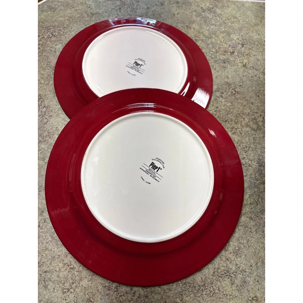 Pier 1 Mexicali Ironstone Dinner Plate Set of 2 Multi-Color Floral 10.75 in Boho